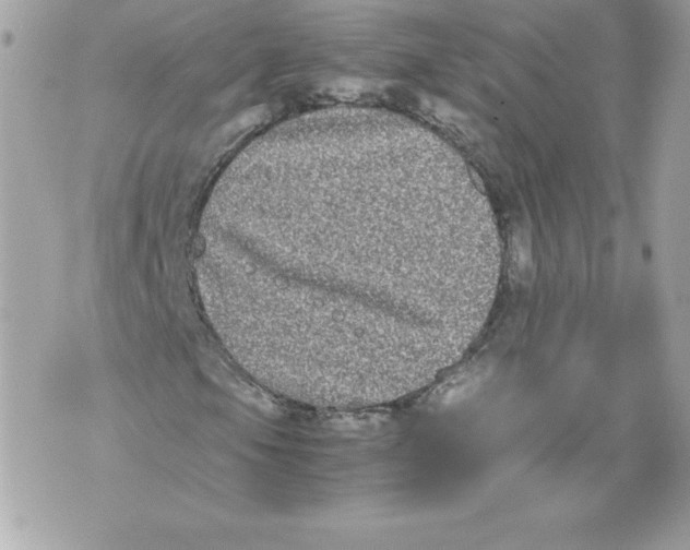 X0000070391105200607072212