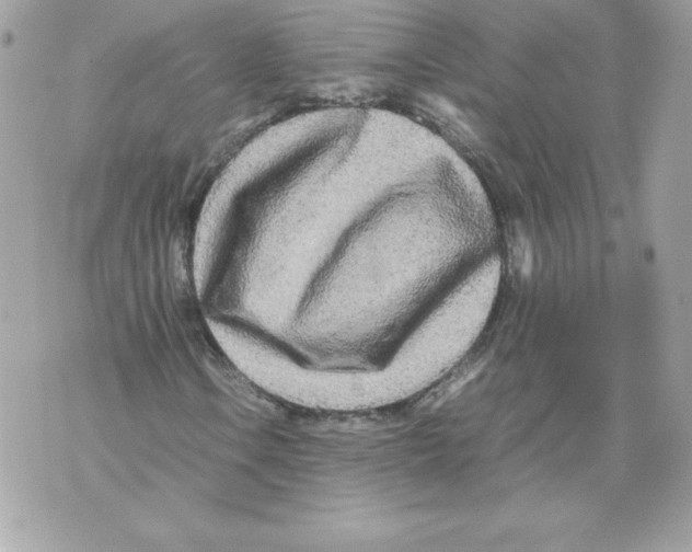 X0000070391106200607072212