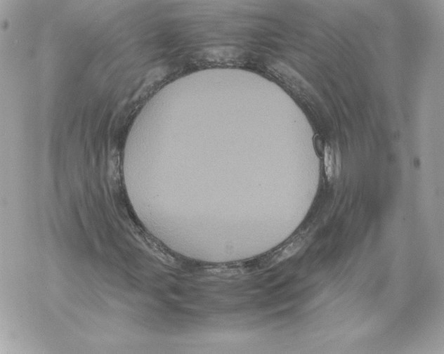 X0000070391107200607072212