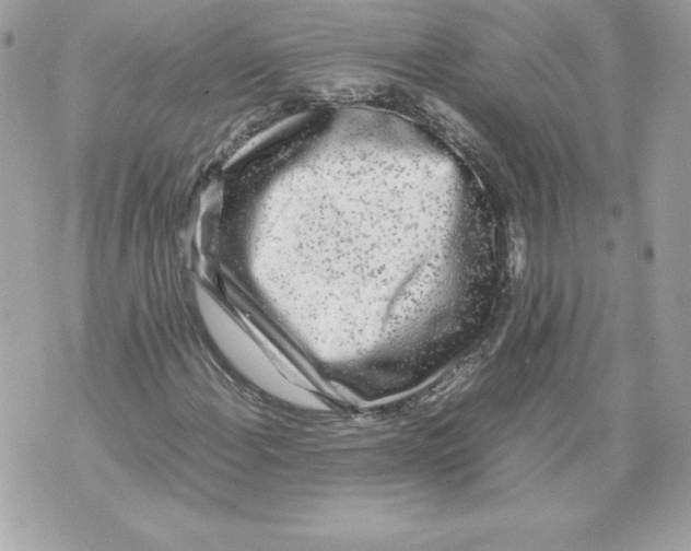 X0000070391108200607072212