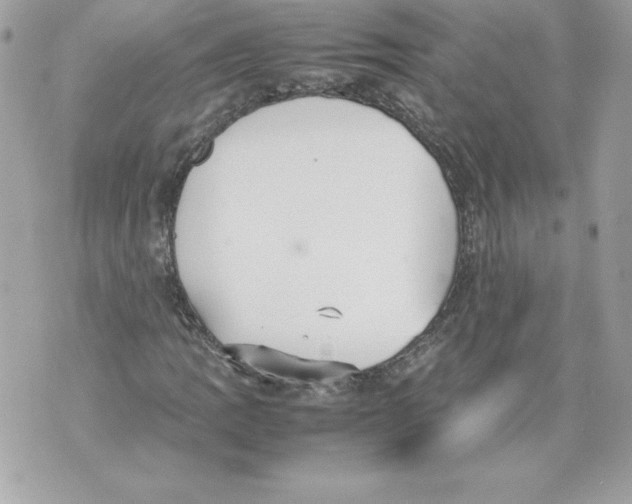 X0000070391109200607072212