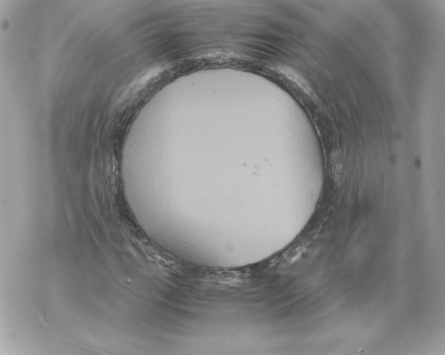 X0000070391111200607072212