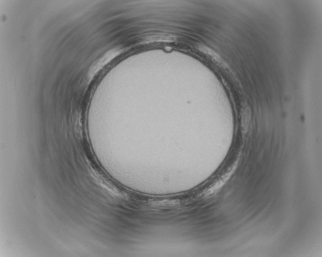 X0000070391113200607072212