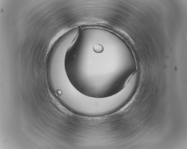 X0000070391114200607072212