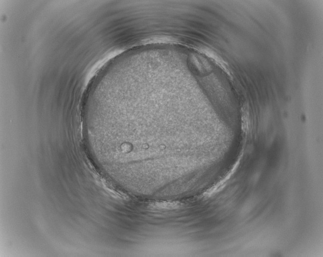 X0000070391117200607072212