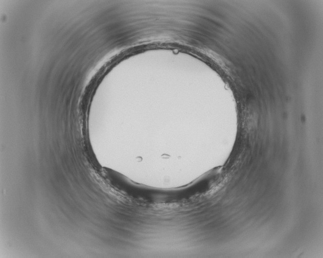 X0000070391118200607072212