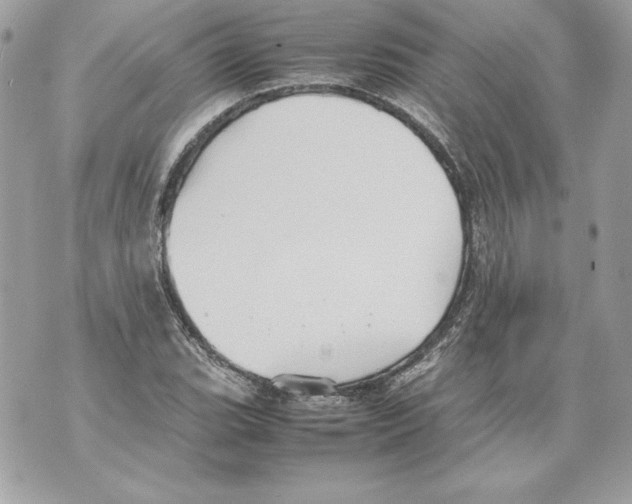 X0000070391119200607072212