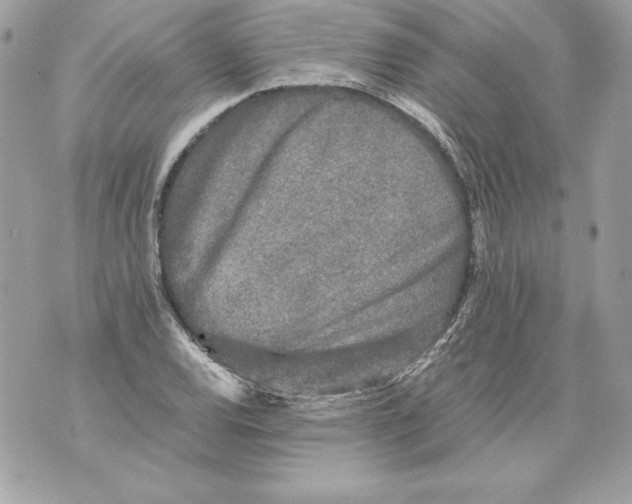 X0000070391120200607072212