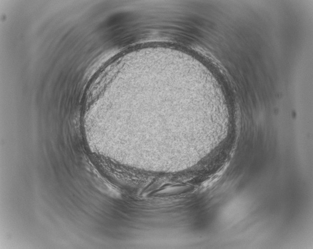 X0000070391121200607072212