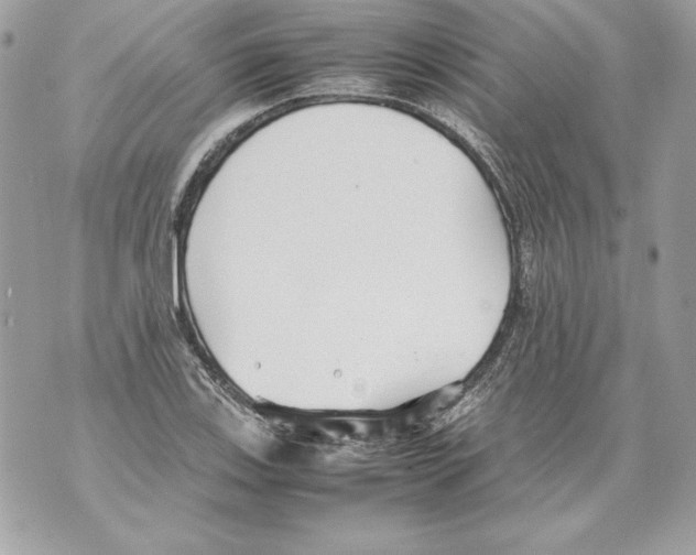 X0000070391123200607072212