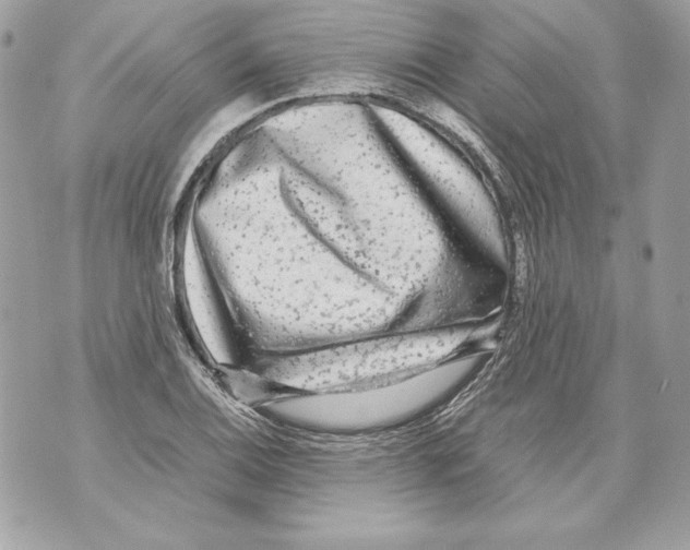 X0000070391124200607072212