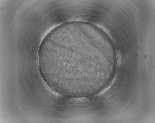 X0000070391125200607072212