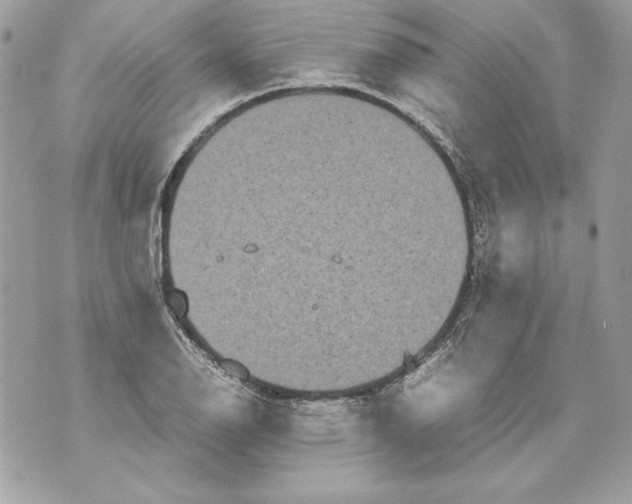 X0000070391126200607072212