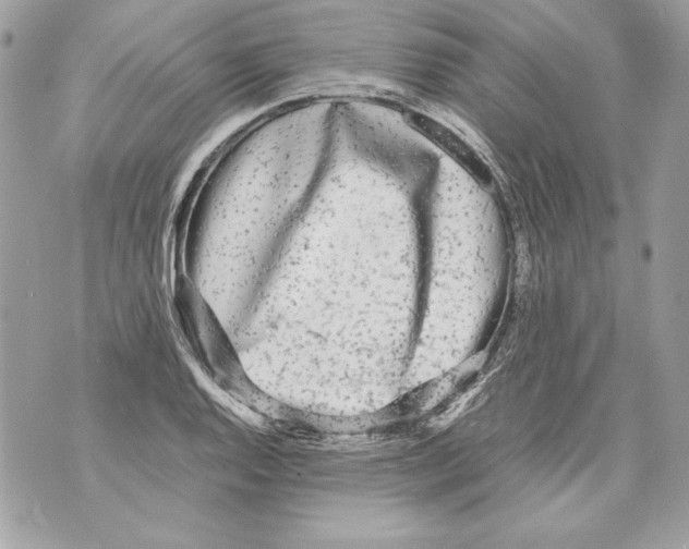 X0000070391128200607072212