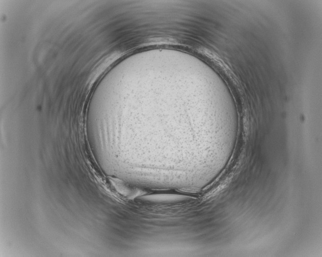 X0000070391129200607072212