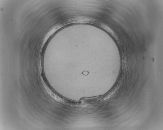 X0000070391130200607072212