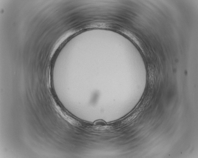 X0000070391131200607072212