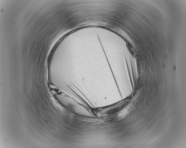 X0000070391132200607072212