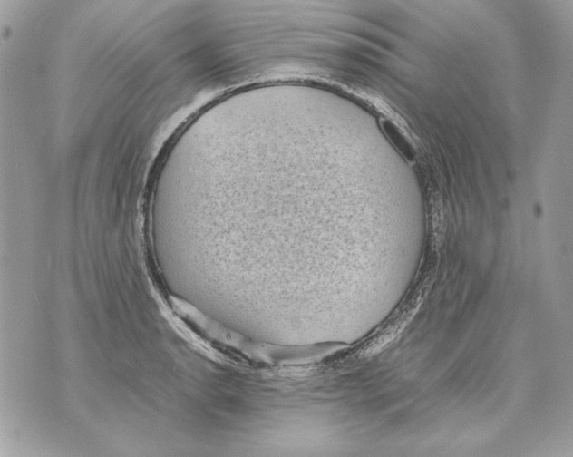 X0000070391134200607072212