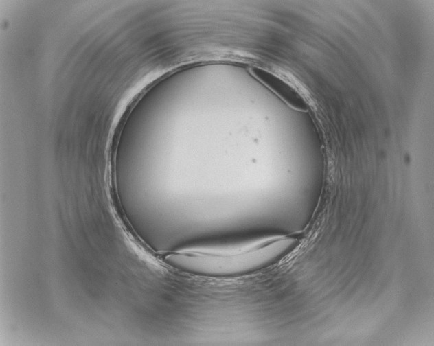 X0000070391136200607072212