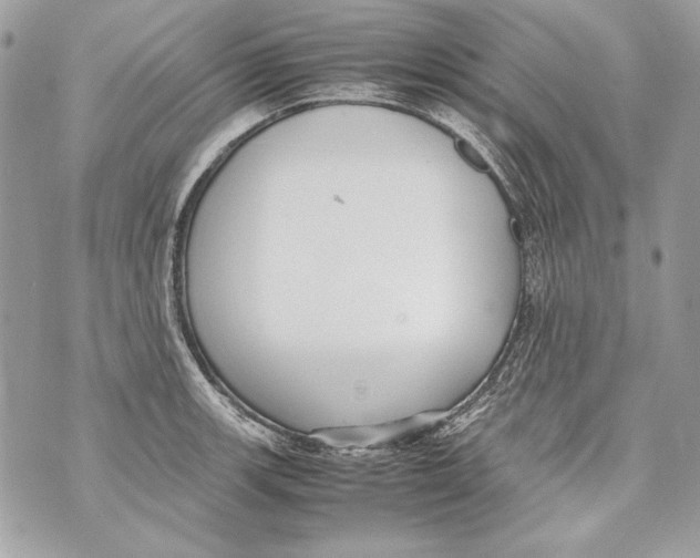 X0000070391139200607072212