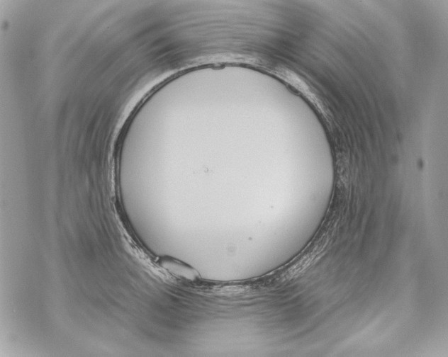 X0000070391140200607072212