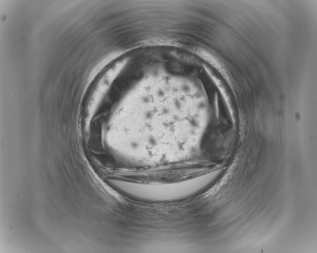 X0000070391141200607072212