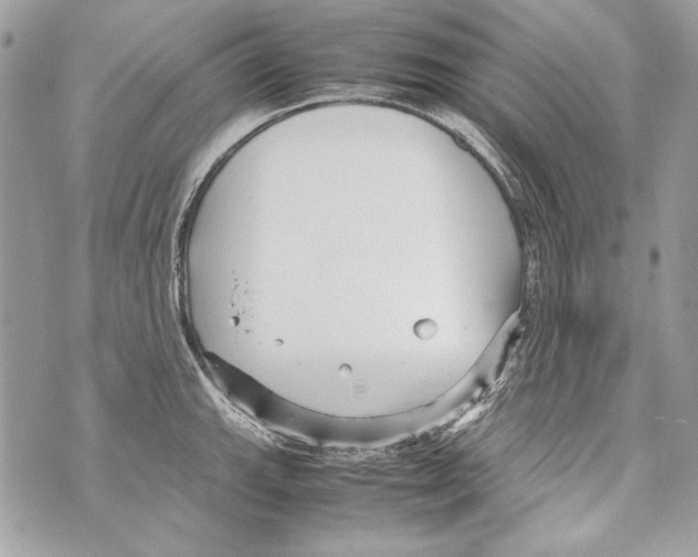 X0000070391143200607072212