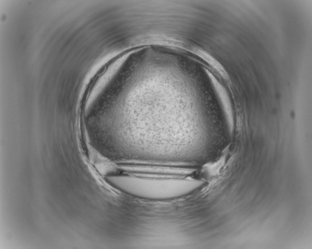 X0000070391144200607072212