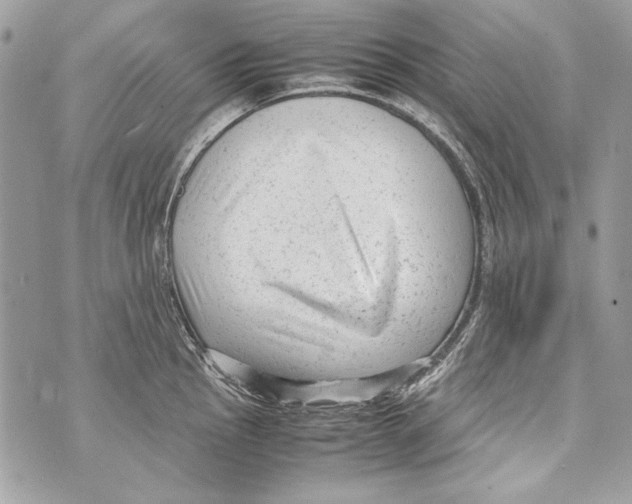 X0000070391145200607072212