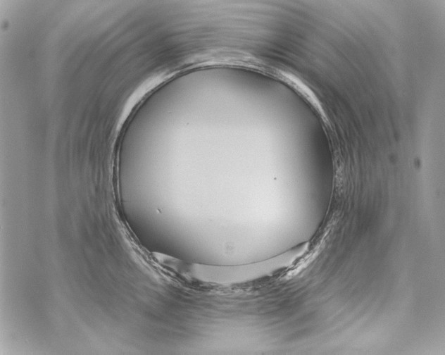 X0000070391146200607072212