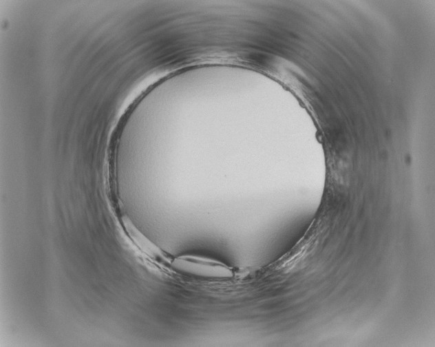 X0000070391147200607072213