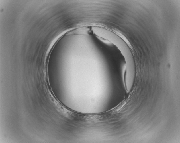 X0000070391148200607072213