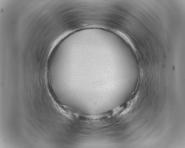 X0000070391149200607072213