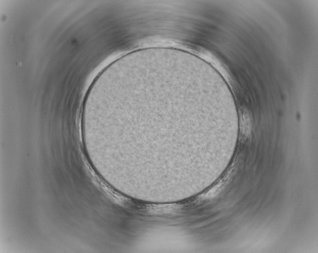 X0000070391150200607072213