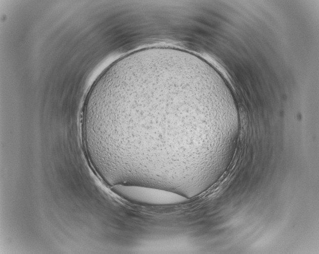 X0000070391151200607072213