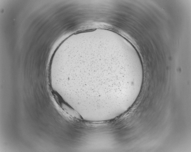 X0000070391152200607072213