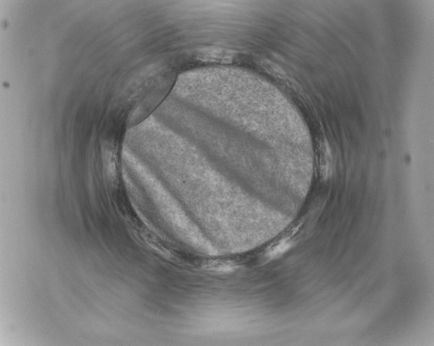 X0000070391154200607072212