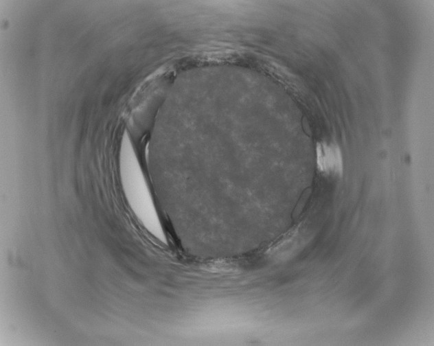 X0000070391155200607072212