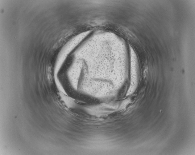 X0000070391156200607072212