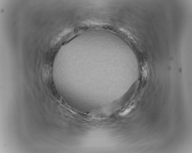 X0000070391157200607072212