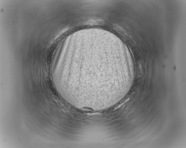 X0000070391158200607072212