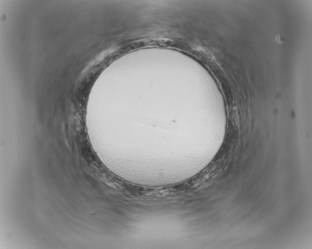 X0000070391159200607072212