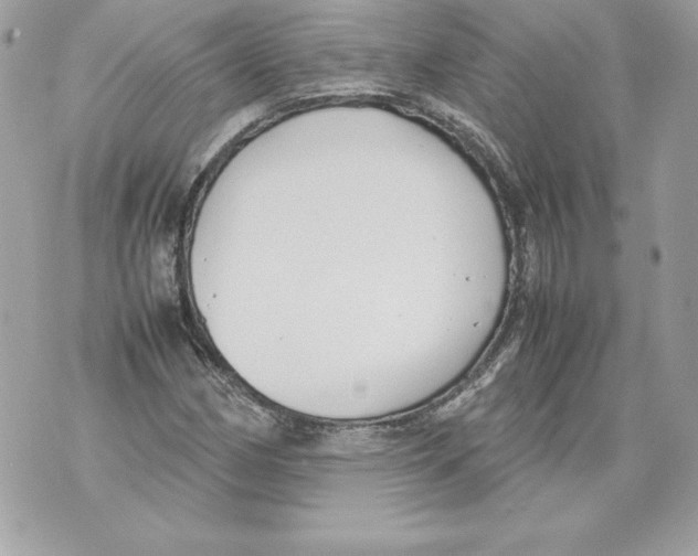 X0000070391162200607072212