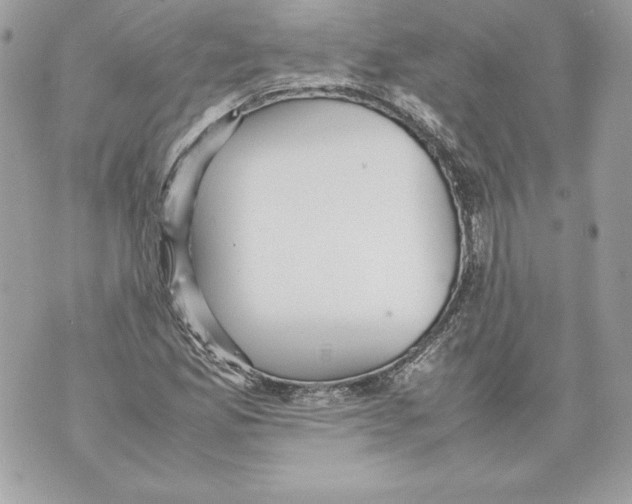 X0000070391165200607072212