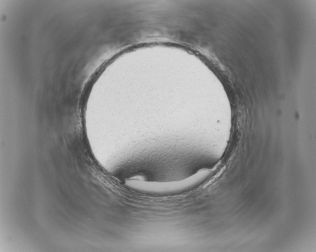 X0000070391167200607072212