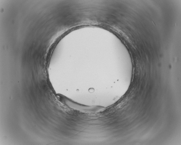 X0000070391168200607072212