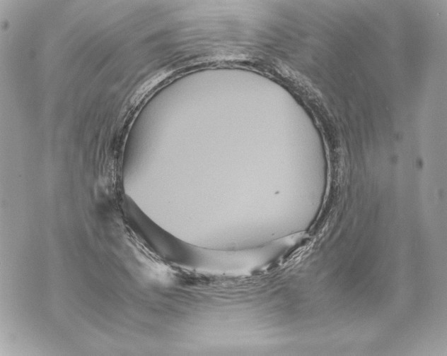 X0000070391169200607072212