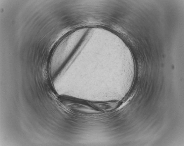 X0000070391170200607072212