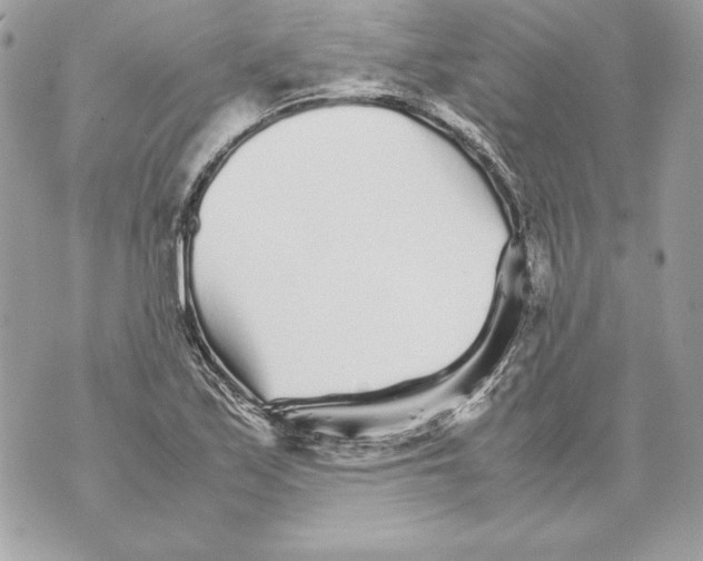 X0000070391171200607072212